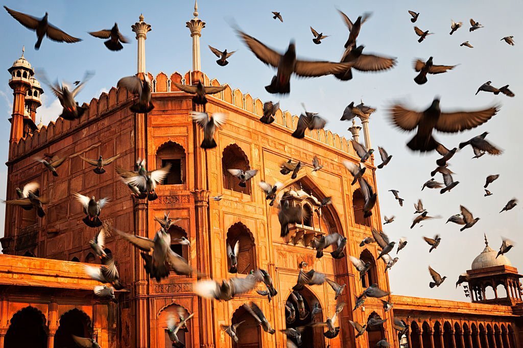 Best Masjid in Delhi